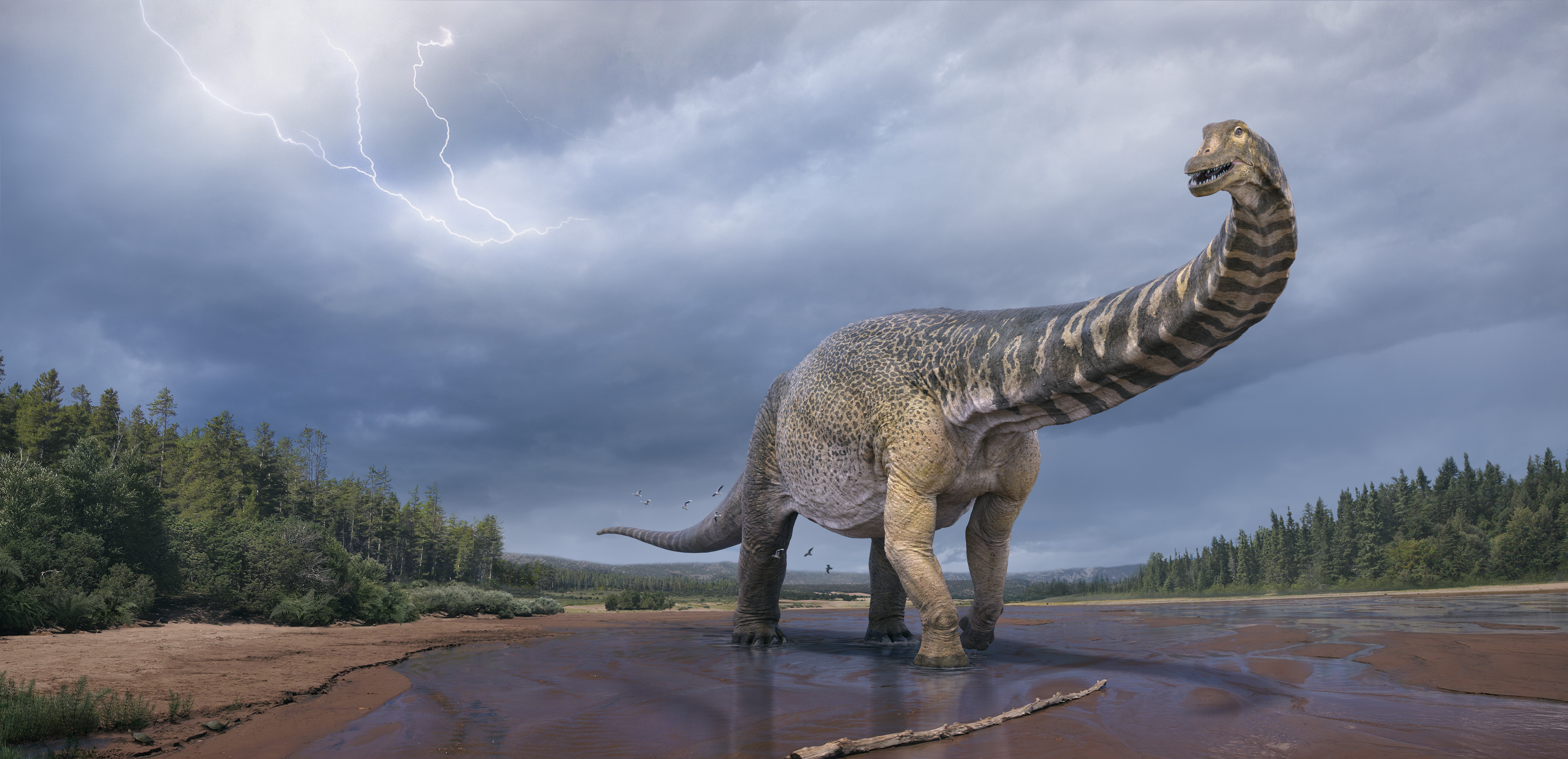 Outback Queensland 96-92 Million Years Ago with Australia’s largest dinosaur species, Australotitan cooperensis described by Hocknull and colleagues in 2021.    Credit: © Eromanga Natural History Museum, Artist Vlad Konstantinov.